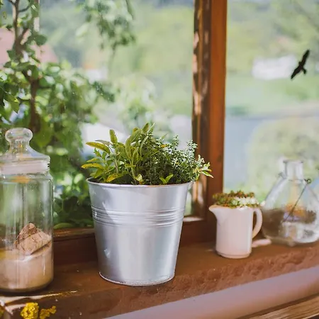 Dreimaederlhaus - Vegetarische Boutique Gasthuis