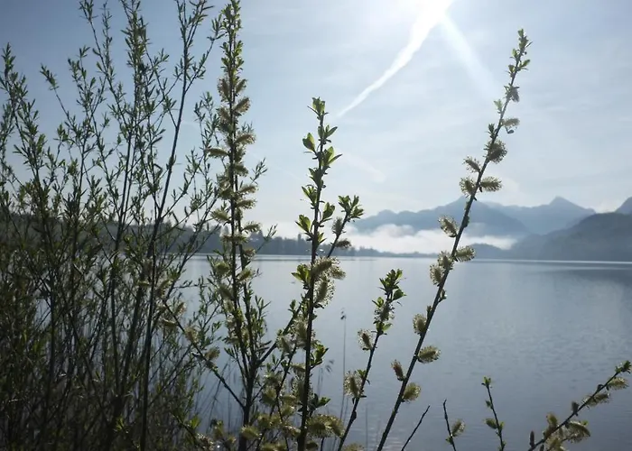 Dreimaederlhaus - Vegetarische Boutique Füssen