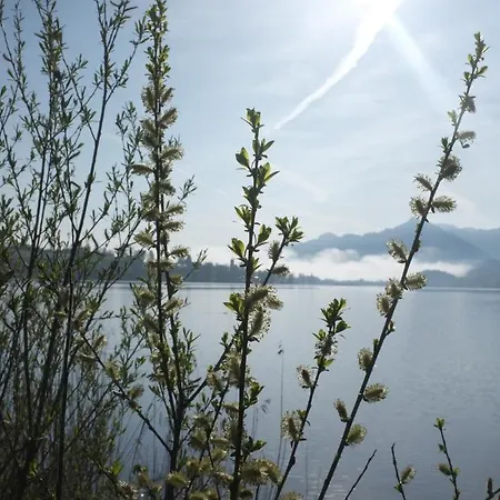 Dreimaederlhaus - Vegetarische Boutique Фюссен