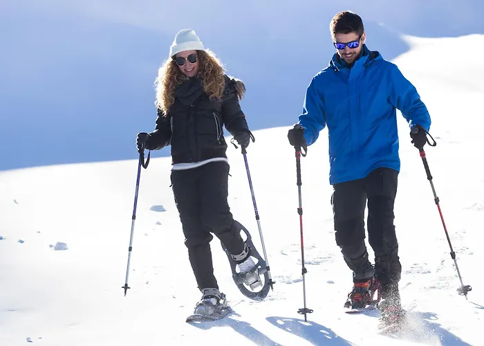 Dreimaederlhaus - Vegetarische Boutique 招待所 福森