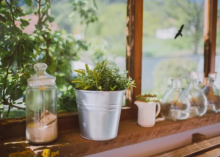 Dreimaederlhaus - Vegetarische Boutique Gasthuis