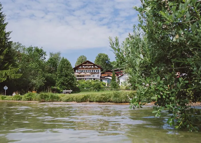 Dreimaederlhaus - Vegetarische Boutique